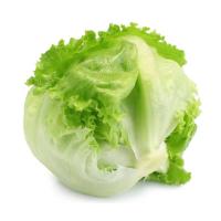 САЛАТ СВЕЖИЙ АЙСБЕРГ ОТБОРНЫЙ ВЕС