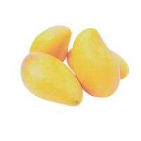 МАНГО СВЕЖЕЕ