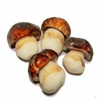 Грибы белые замороженные альянс