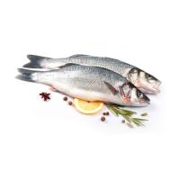 СИБАС ОХЛАЖДЕННЫЙ С ГОЛОВОЙ НЕПОТР 400-600