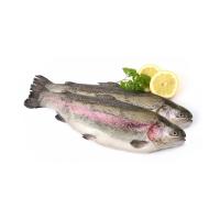 ФОРЕЛЬ ОХЛАЖДЕННАЯ РАДУЖНАЯ РЕЧНАЯ СВЕРДЛОВСКАЯ ОБЛ