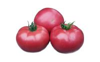 ТОМАТЫ СВЕЖИЕ НА ВЕТКЕ