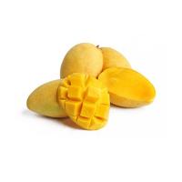 МАНГО МАН ДОК МАЙ