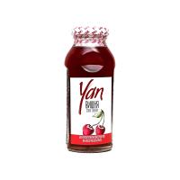 НЕКТАР ЯН 250МЛ СБ ВИШНЯ/М