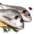Охлажденная рыба и морепродукты