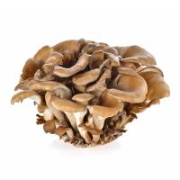 ГРИБЫ МАЙТАКЕ СВЕЖИЕ 150Г ПОДЛ