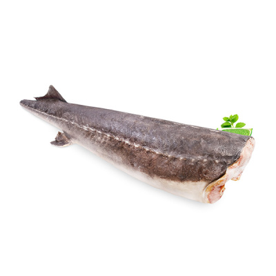 Осетр см хвостовая часть Россия