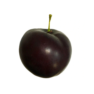 Слива свежая  Утка