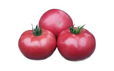 Томаты свежие на ветке