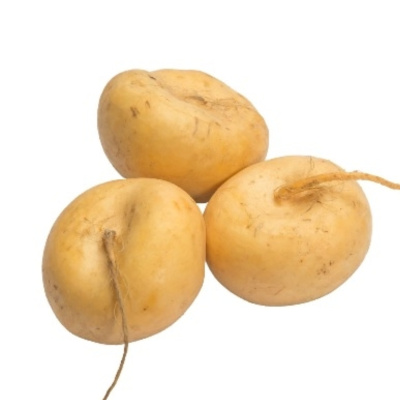 Репа свежая россия