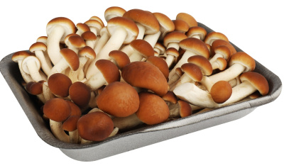 Грибы опята свежие 200г подл